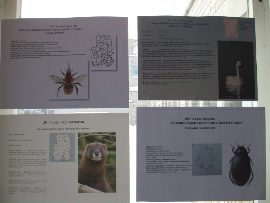 Подорожник большой занесен красная книга