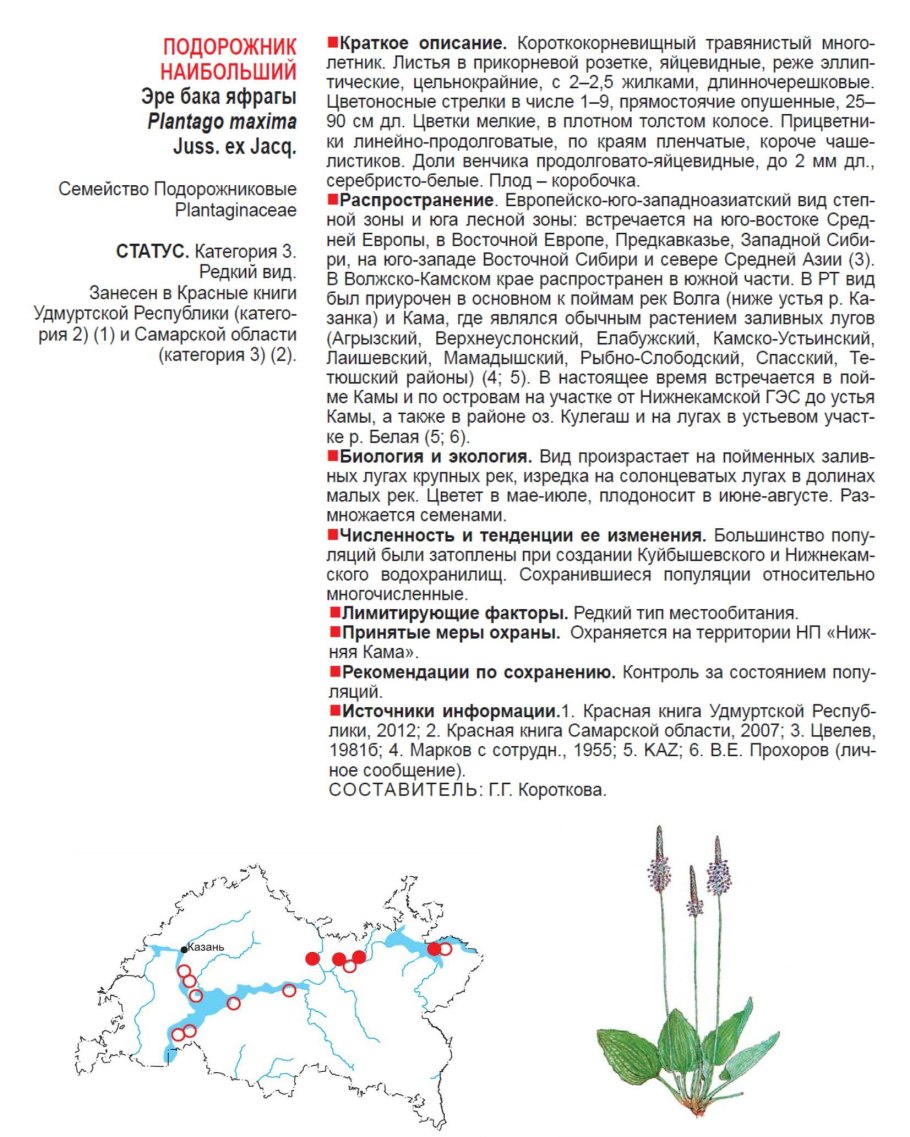 Исчезающие растения из красной книги