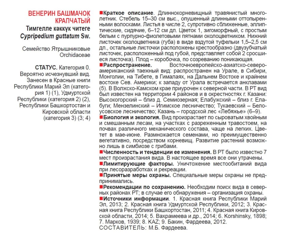 Купальница Этна