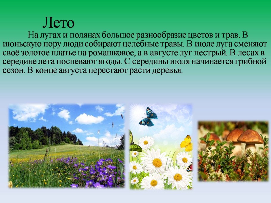 Рапсовые поля в Германии