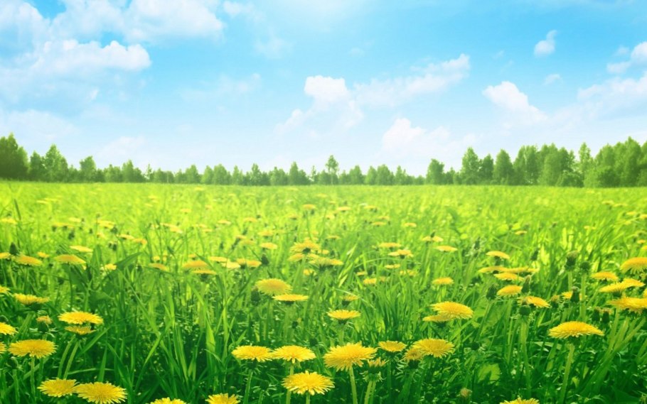 Пойменные Луга Самарской области