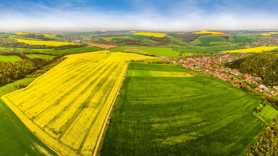 Сельхозугодия пашня сенокосы пастбища