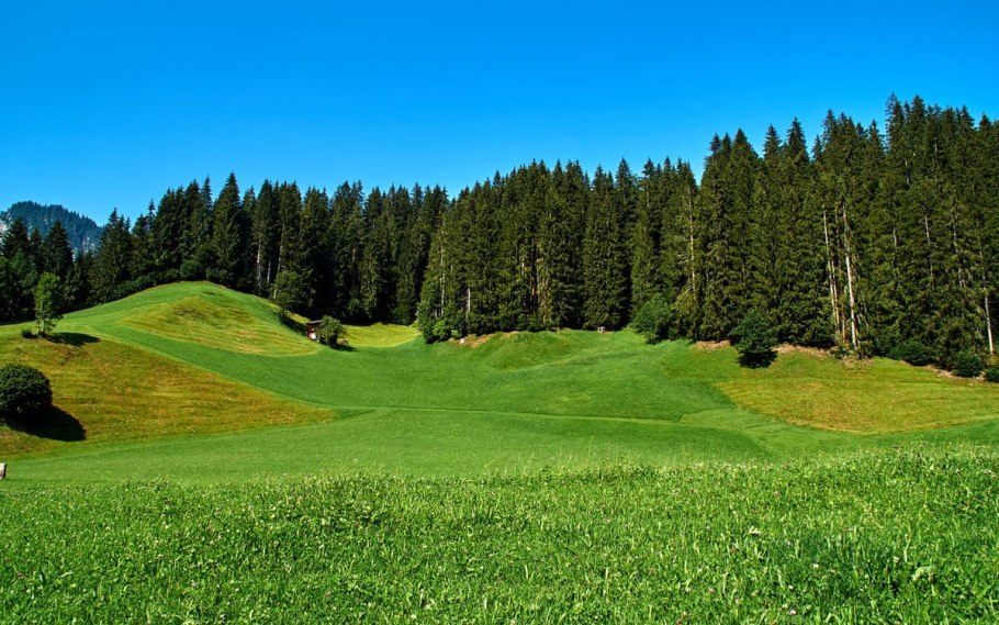 Лесистые холмы белоруссия