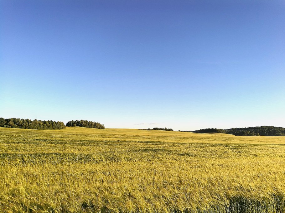 Луга степи Краснодарского края