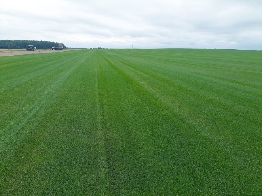 Луг простор