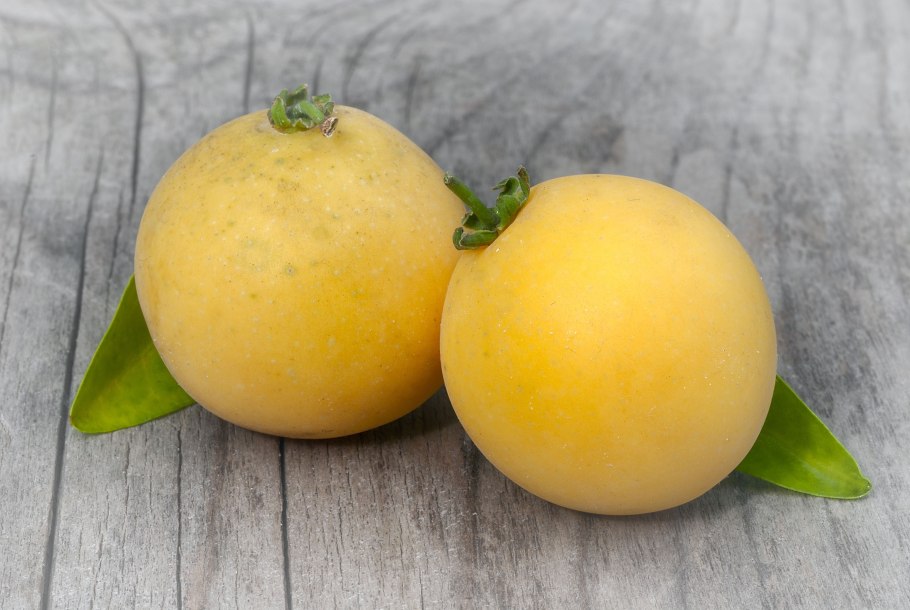 Цейлонский крыжовник