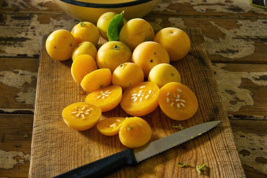 Berchemia zeyheri Tree