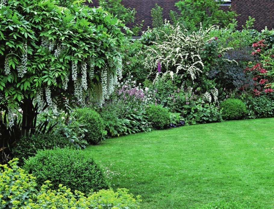 Астильба Хоста миксбордер