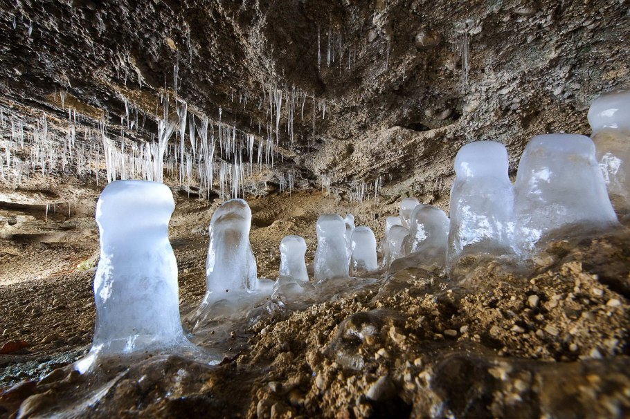 Лилия Пумилум