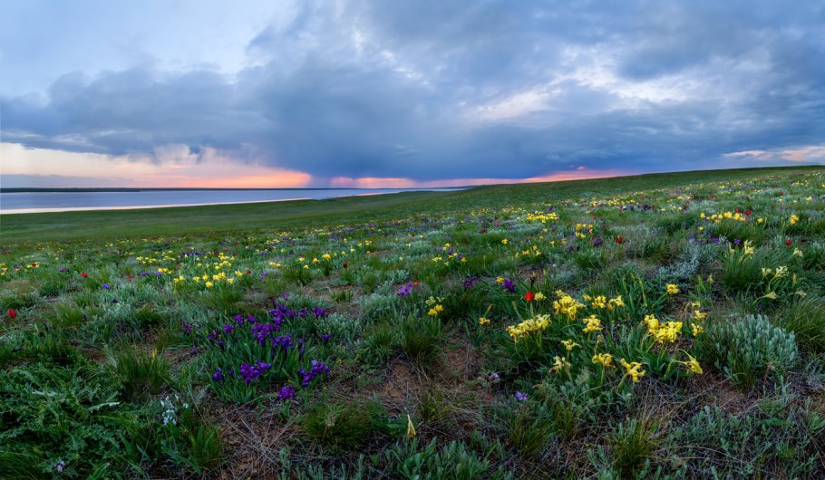 Щебень желтый Ингушетии