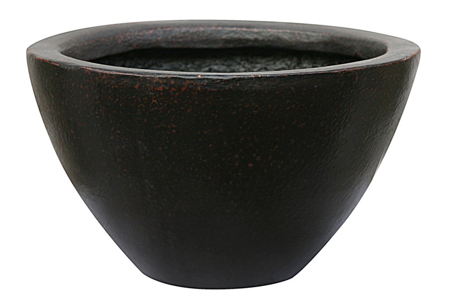 Arcterica Nana Арктерика низкая