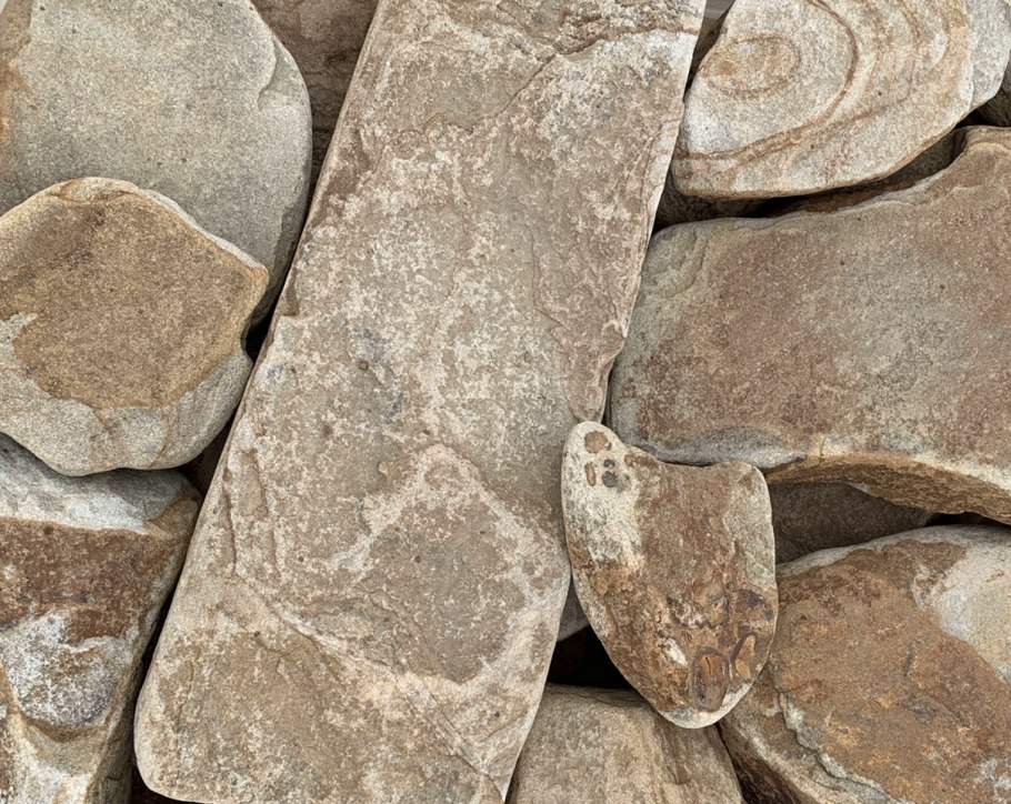 Филлодоце Алеутская