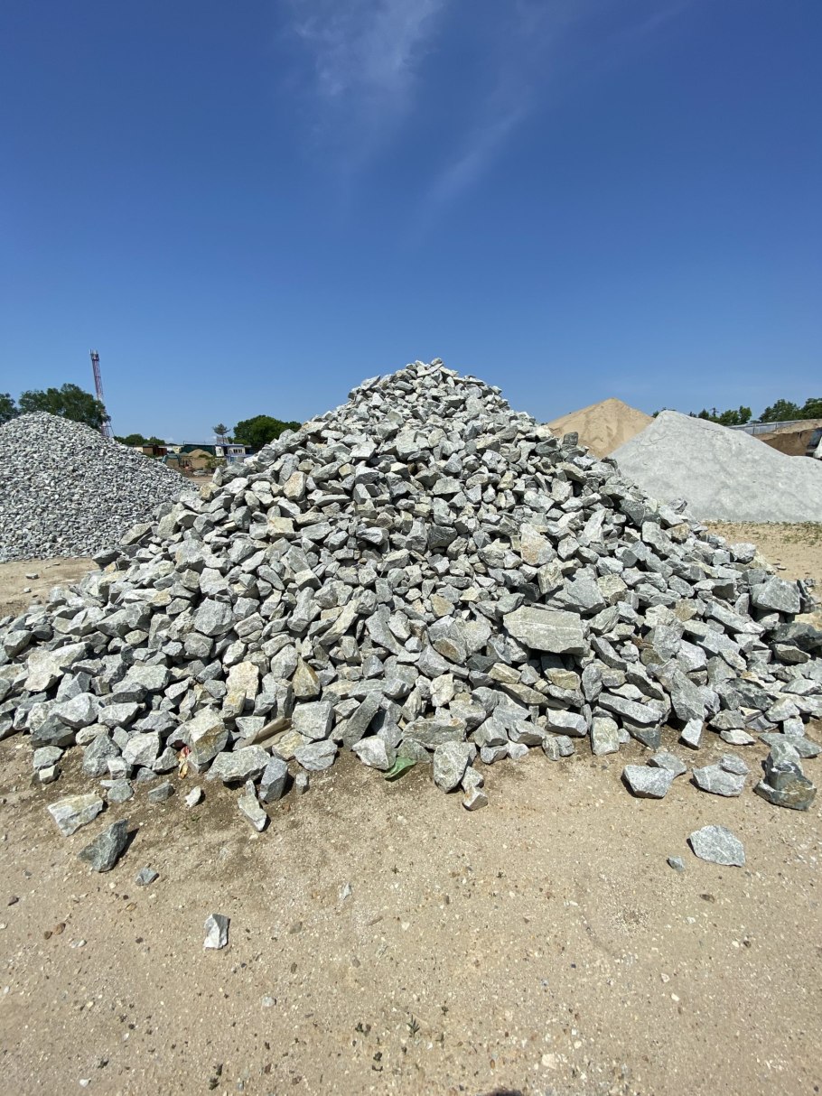 Лапчатка Альпийская шерстистая