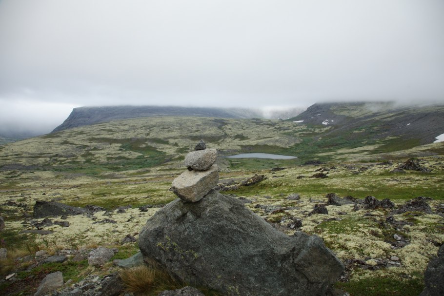 Laguna "камень для рептилий"
