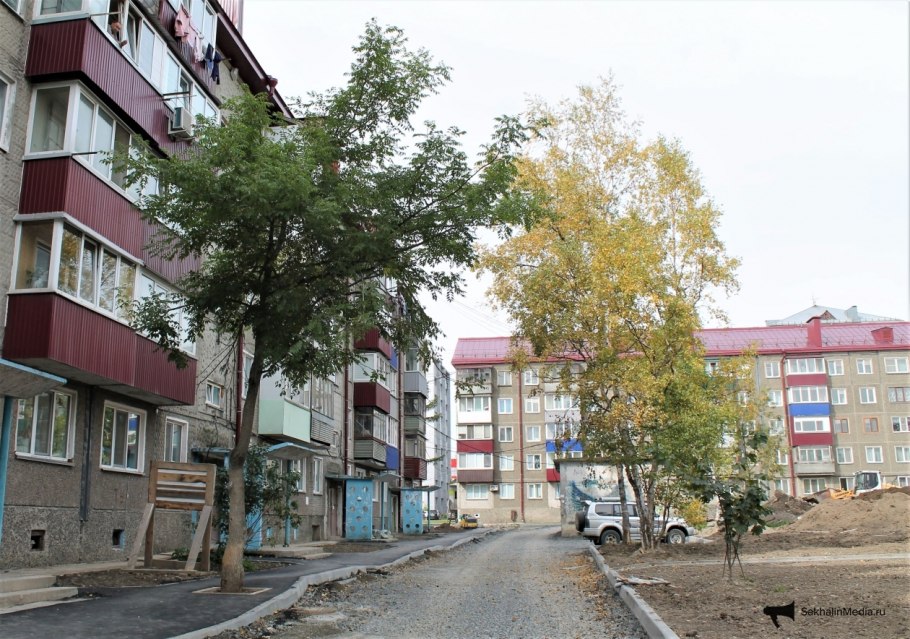 Бархат Амурский -Phellodendron amurense