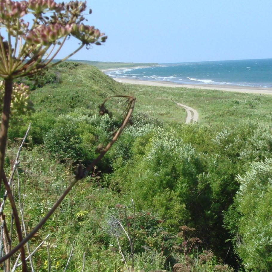 Сахалинская 45 Южно-Сахалинск