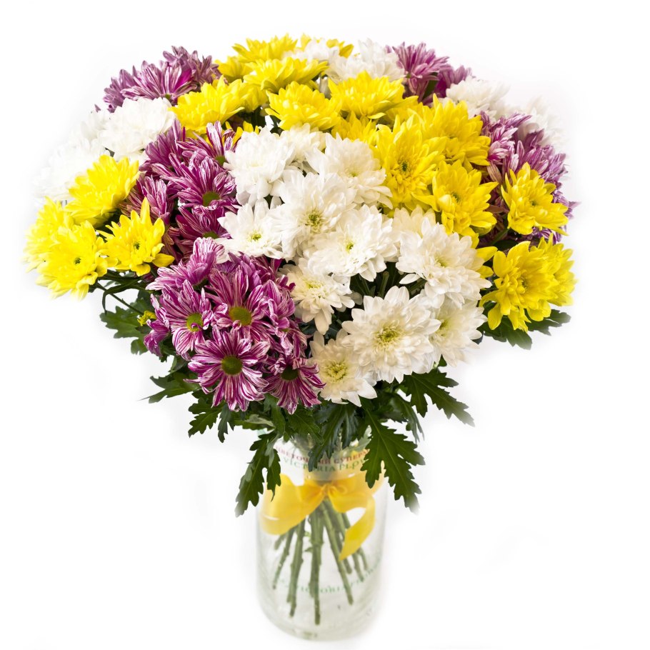 Хризантемы мелкие