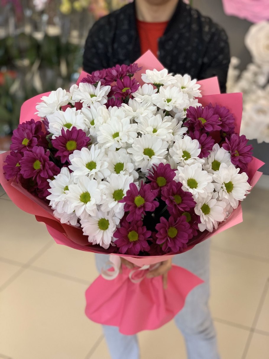 Хризантема Элизабет