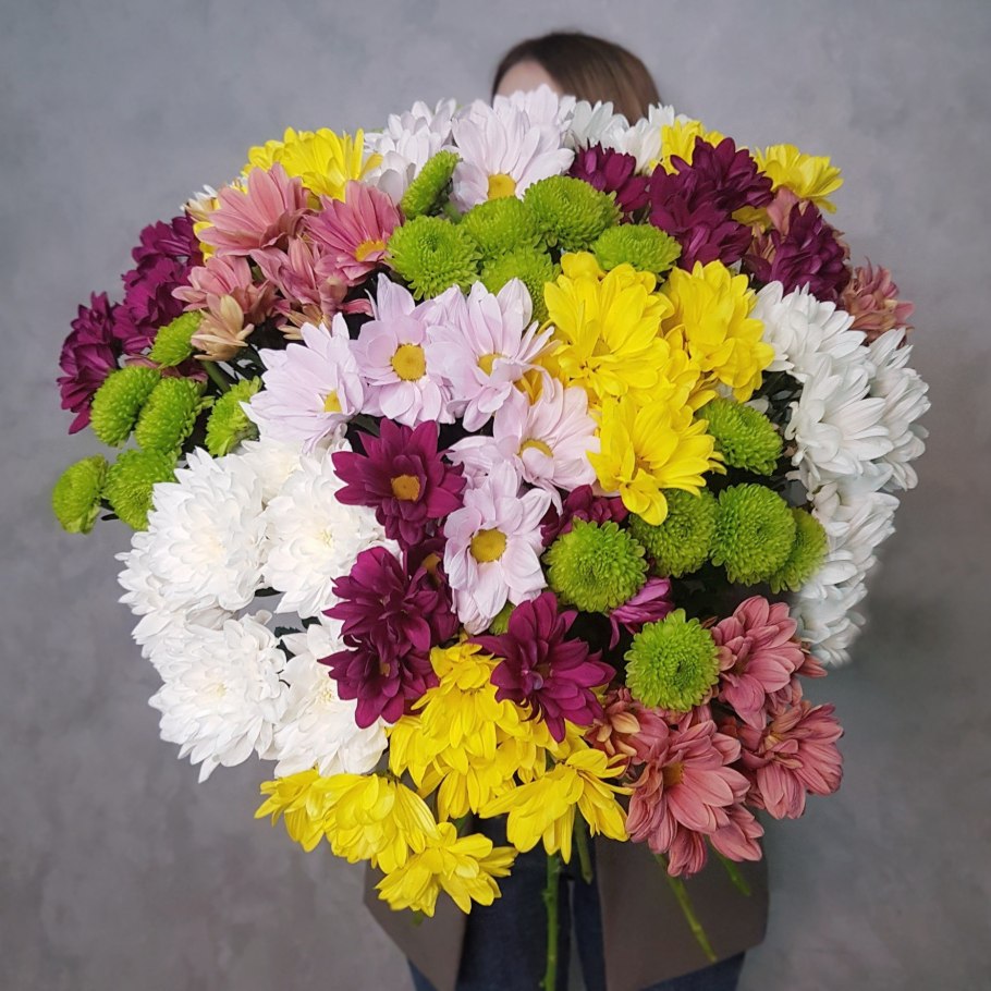 Цветы хризантемы