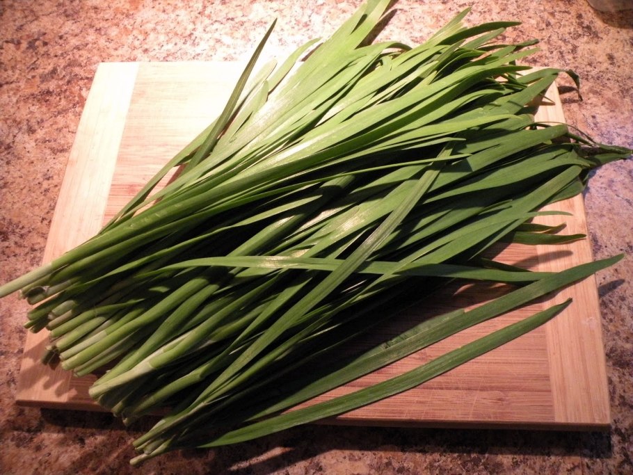 Китайский лук цветок