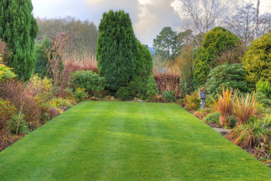 Хелен парк+ ландшафт