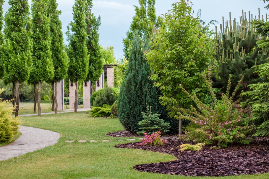 Розовый сад питомник Краснодар