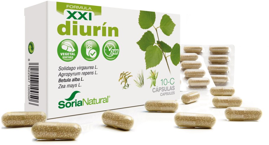 Плектрантус Барбатус