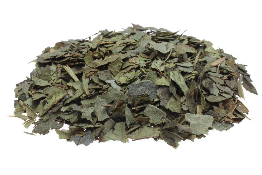 Листья Больдо