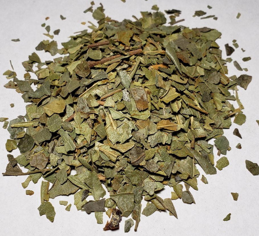 Трава пеумус