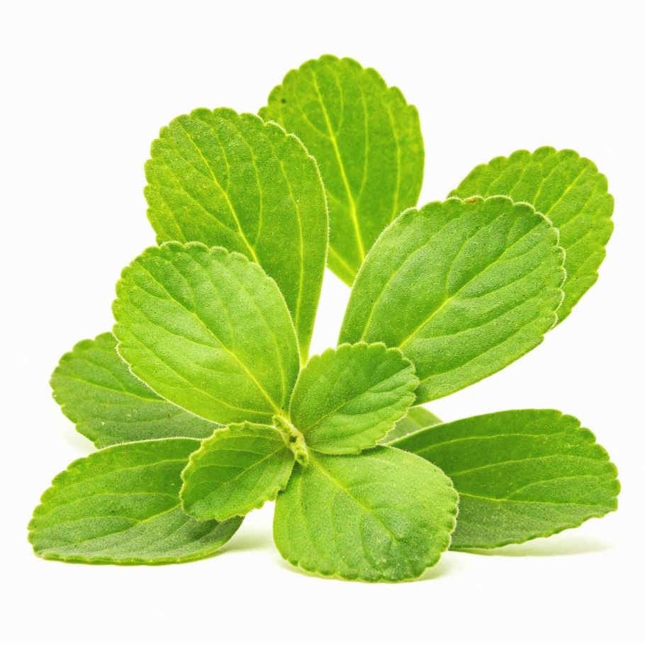 Плектрантус шпороцветник ароматный