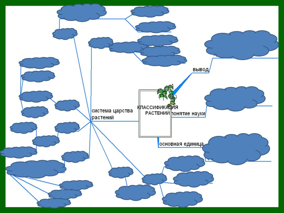 Фрондозные соцветия