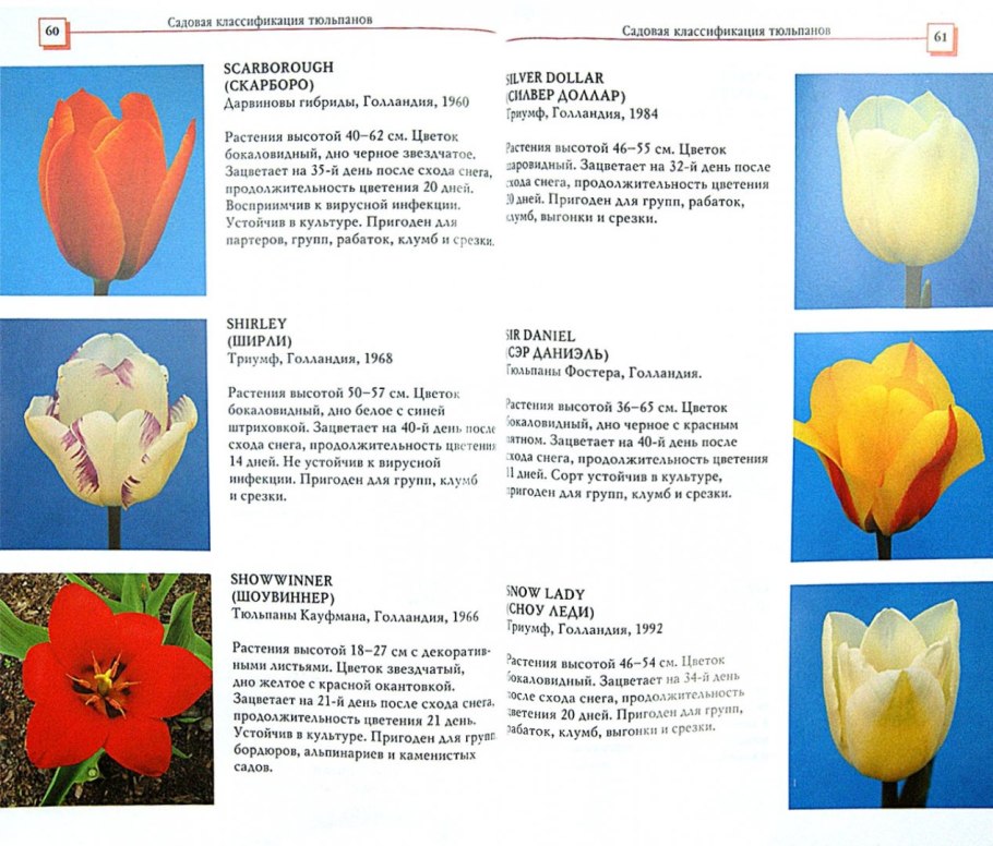 Первое систематическое описание более 500 видов животных дал