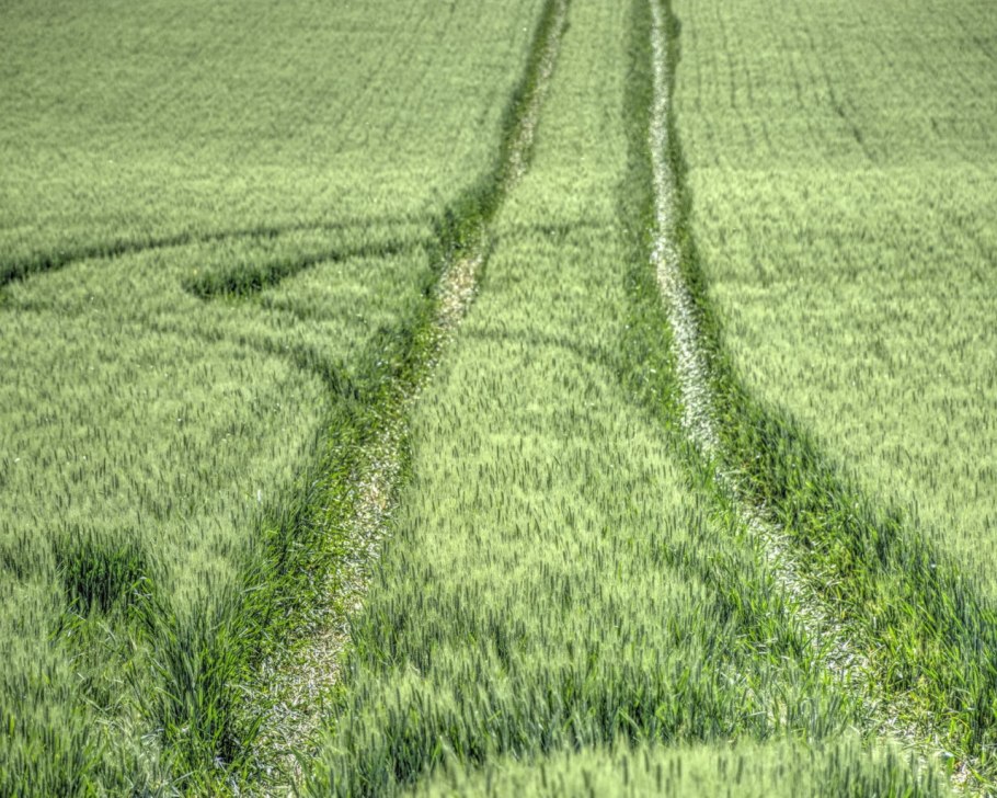 Картинки на рабочий стол поле