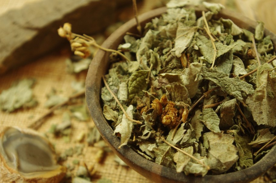 Трава Калея закатечичи