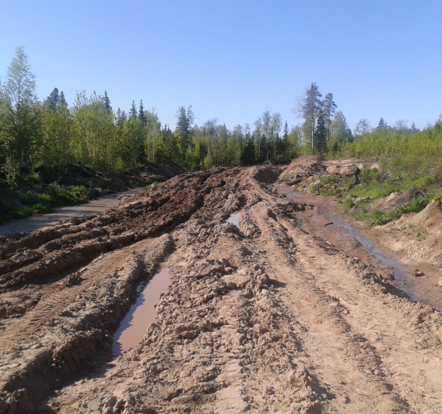 Колейные дороги