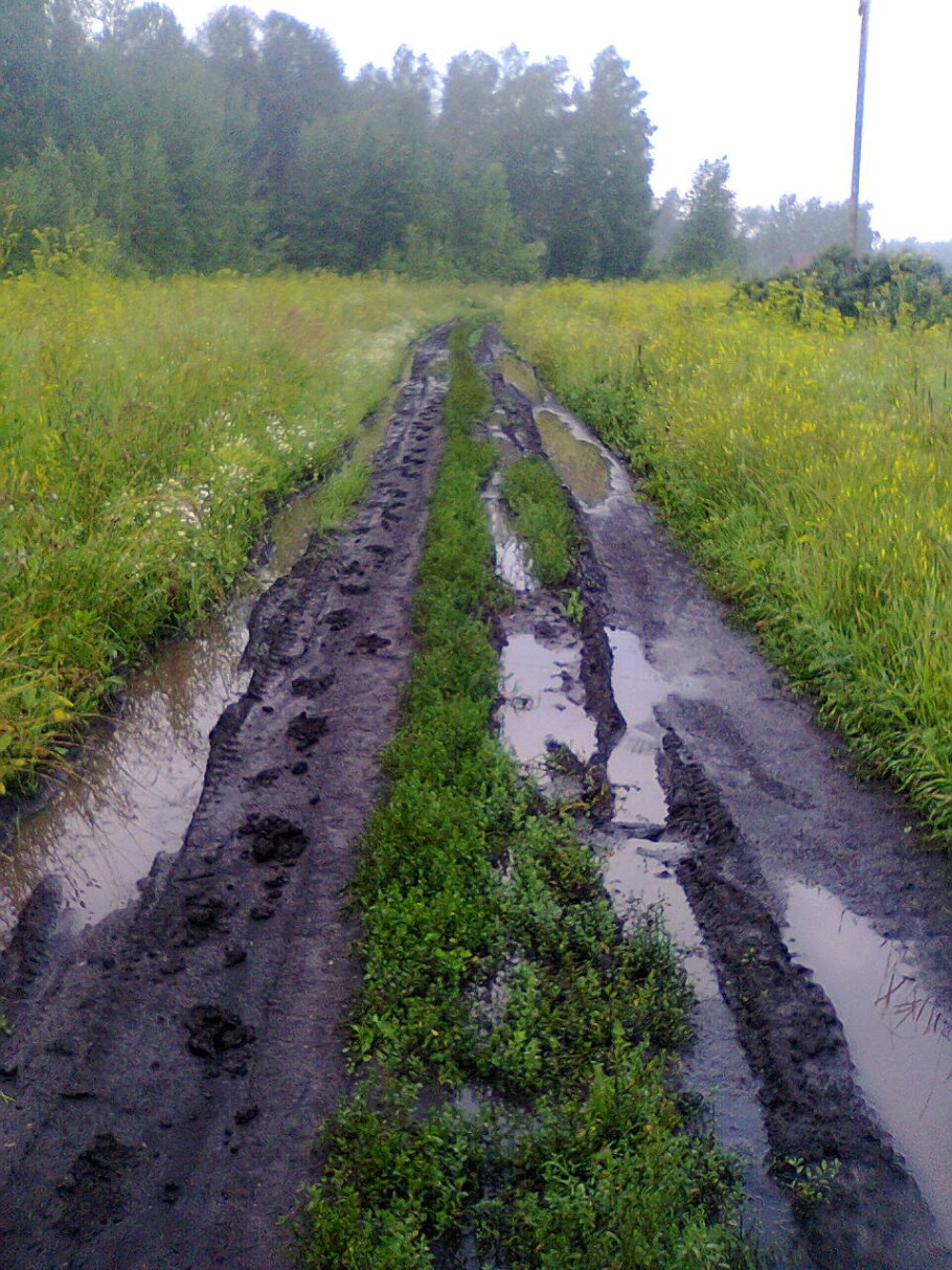 Калея закатечичи русские корни