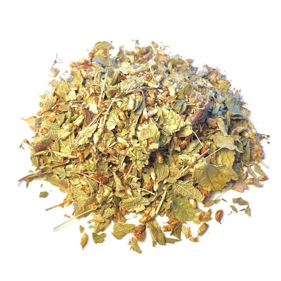 Калея закатечичи растение