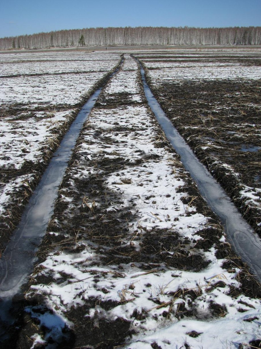 Калея закатечичи