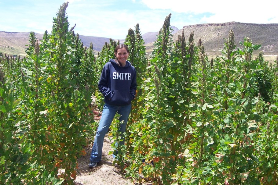 Трава Калея закатечичи