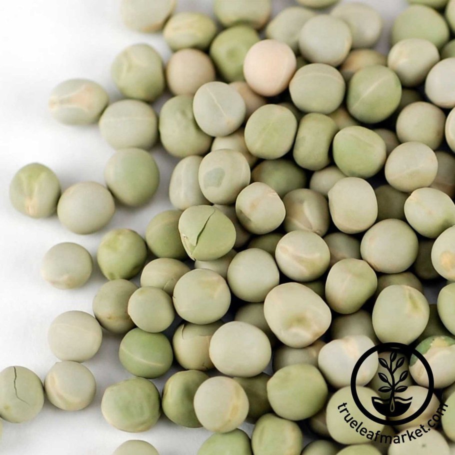 Dukkakli o'simliklar