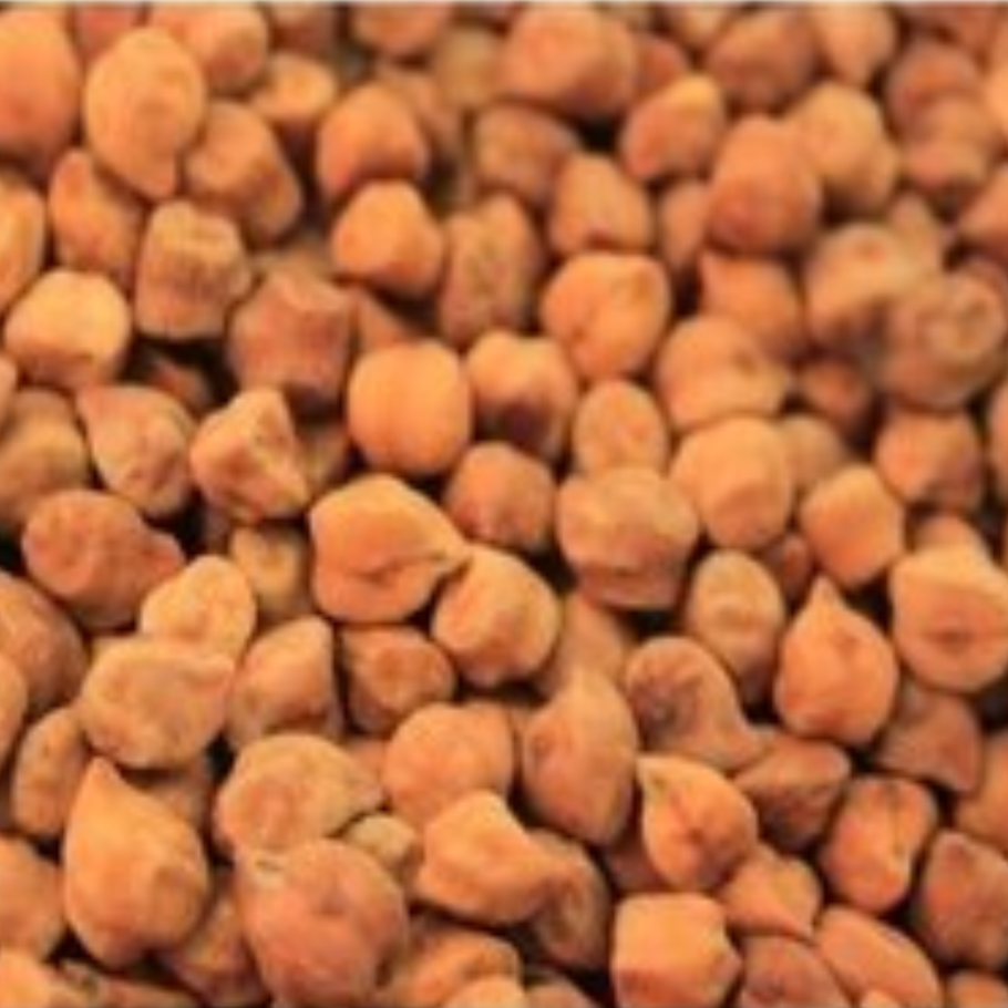 Бабочкин горошек растение