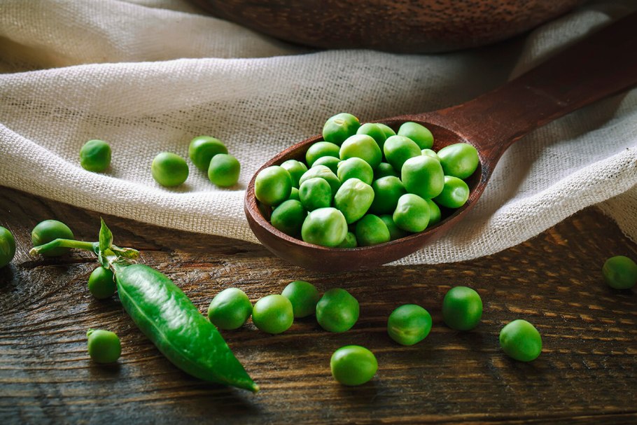 Семейство бобовые горох посевной