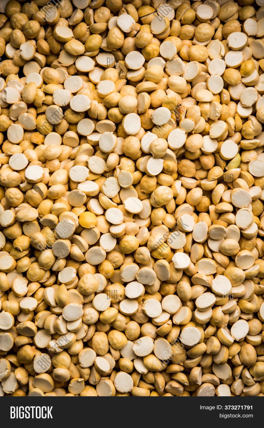 Подсемейство Мотыльковые