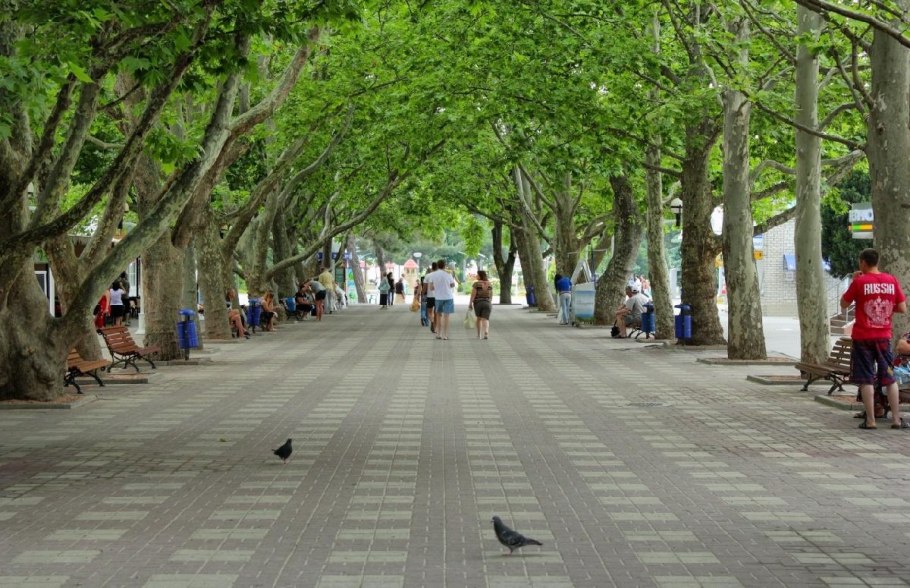 Платановая аллея Геленджик