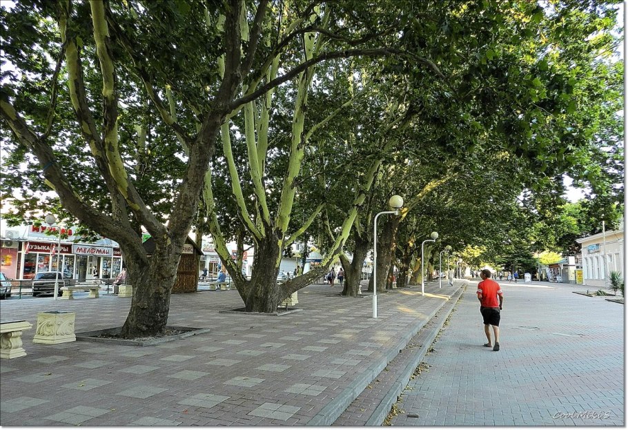 Платановая аллея Геленджик