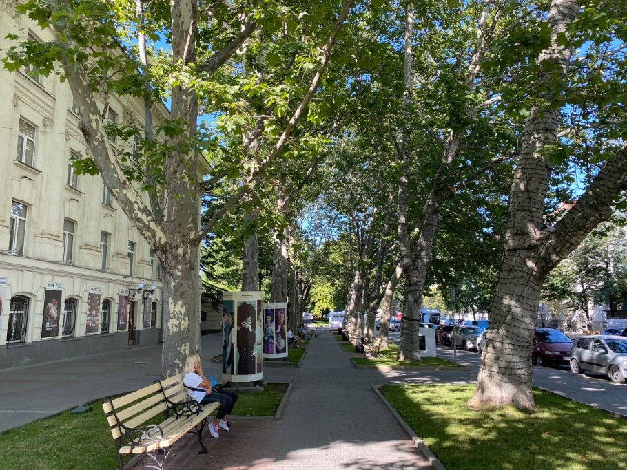 Платановая аллея Феодосия