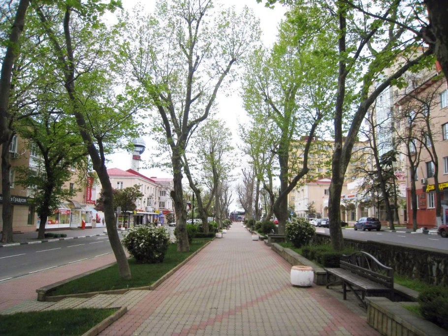 Платановая аллея Сочи