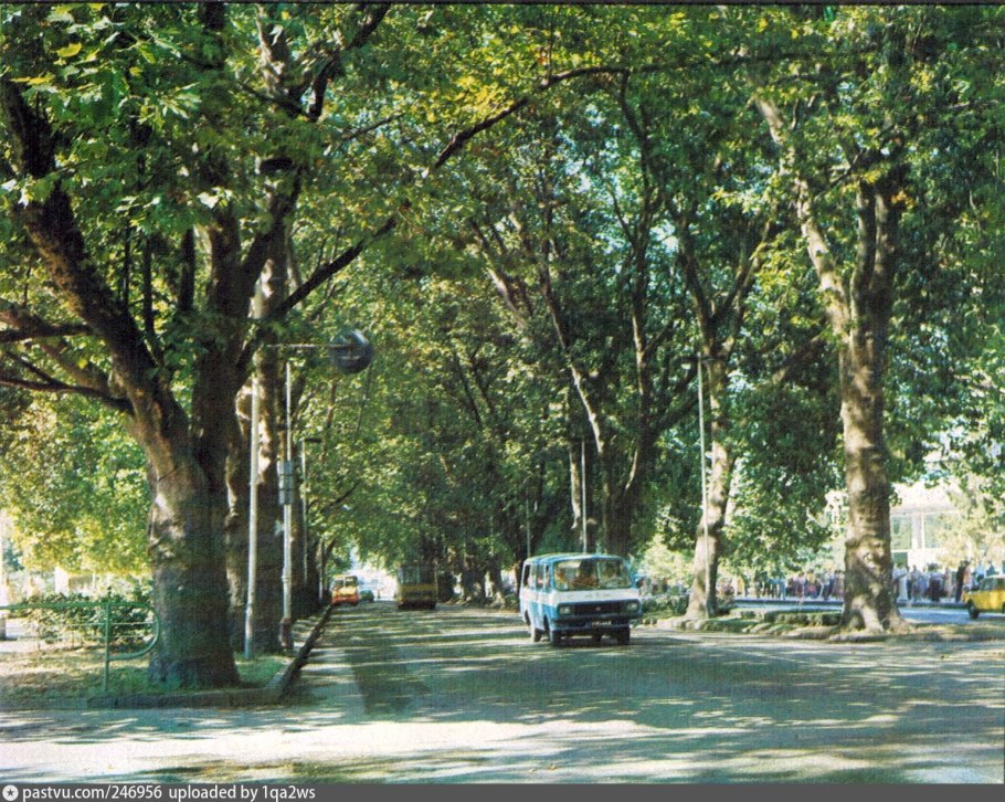 Платановая аллея Геленджик