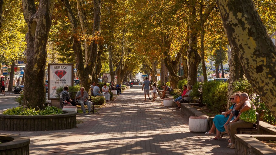 Аллея платанов Сочи