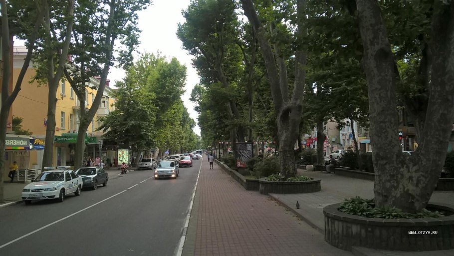 Платановая аллея Сочи